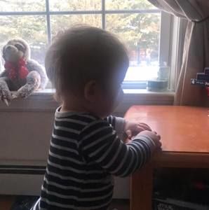 Meet your Posher, Lynne